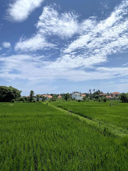 Villa Vespa Lovina Exterior foto